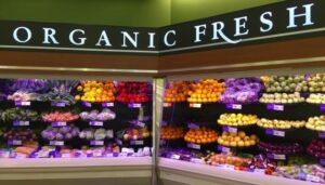 organic_fresh_vegetable